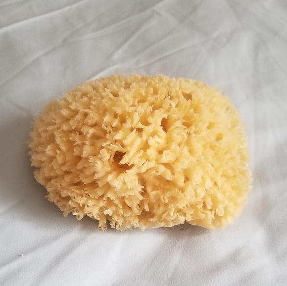 Natural Sponge - Picture 2 of 7